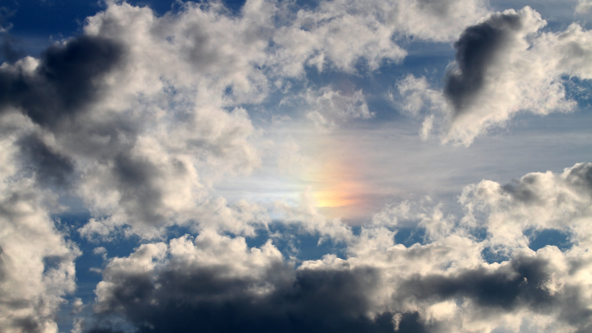 Panda Sports-狼队防守体系严密，金丝雀欲保级成功，jin狼