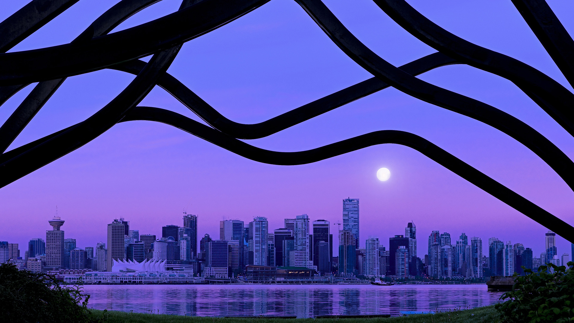 美洲杯天王闪耀:个人能力与团队协作的巅峰展现,美洲杯之王